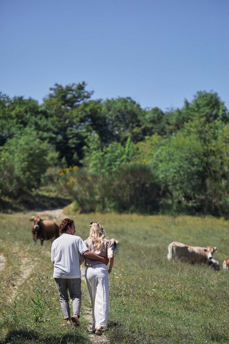 experience umbria