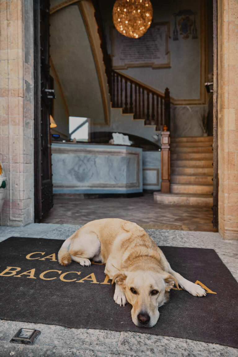 pet-friendly-hotel-gubbio.jpeg.jpg